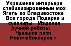 Украшение интерьера стабилизированный мох Ягель во Владивостоке - Все города Подарки и сувениры » Изделия ручной работы   . Чувашия респ.,Новочебоксарск г.